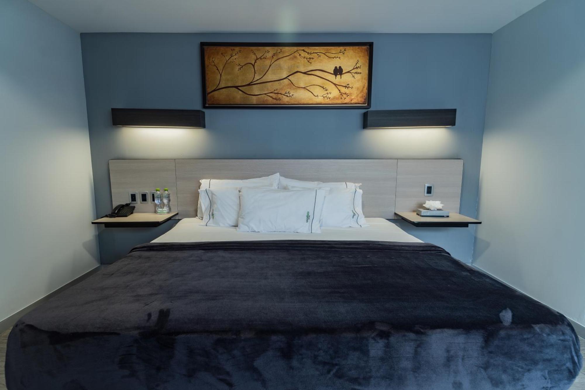 Hotel Lemon Green -Zona Expo Frente Al Centro De Convenciones 과달라하라 외부 사진